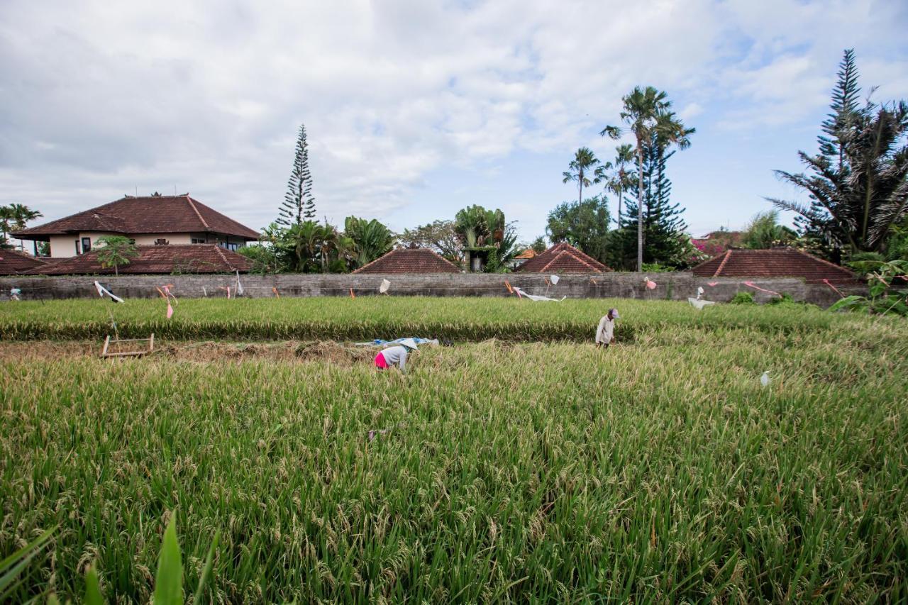 Villa Piece Of Peace Private 3Br With Large Pool And Garden Canggu Exteriör bild